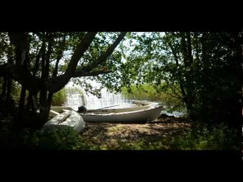 Video: Varför Blir Molnen Gröna