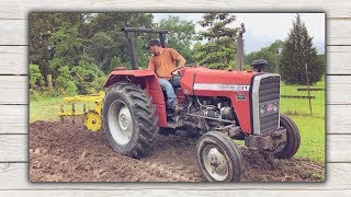 MASSEY FERGUSON 231 Tractor Work Tilling In The Rain  | OUR GARDEN Homestead PROGRESS