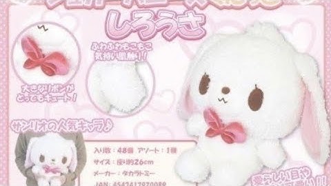 !!  ᶠˡᵃᵗ  ⁿᵒˢᵉ  🌈