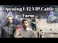 VIP Tent opening || full of enjoy #i12mandi #vipcattle season2025 #apnashook