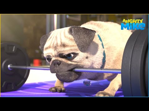 Strong pug lifts weights 🐶 Mighty Mike 🐶 45' Compilation 🐶 Cartoon for Kids