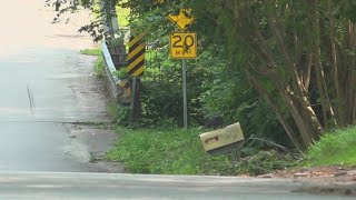 Celebrity Dozens of mailboxes hit in overnight theft spree in South Carolina town Wealth