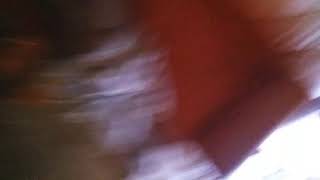 Meu Irmão Só De Cueca