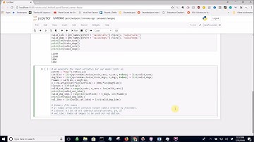 How to build an image classifier on limited data using Deep Learning