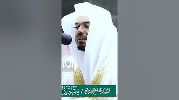 ياسر الدوسري {ولا تمدن عينيك إلى ما متعنا به أزواجاً منهم زهرة الحياة الدنيا} سورة طه