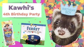 Kawhi's 4th Birthday Party! Ferret and Cat  Swimming Pool, Tunnels, and More!