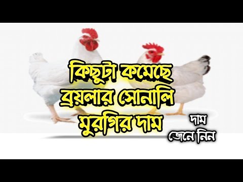 ভিডিও: দাম কত