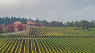 Domaine Serence Winery wins for Pinot Noir