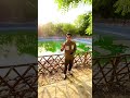 Akele chalne Ka Dum Rakho Lala😎-#rajavlogs #varal #lala