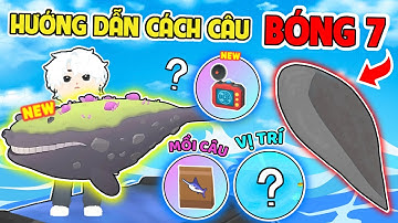 PLAY TOGETHER | BEDY HƯỚNG DẪN CÁCH CÂU , VỊ TRÍ , KHUNG GIỜ , CẦN CÂU C.Á BÓNG 7 CHI TIẾT NHẤT