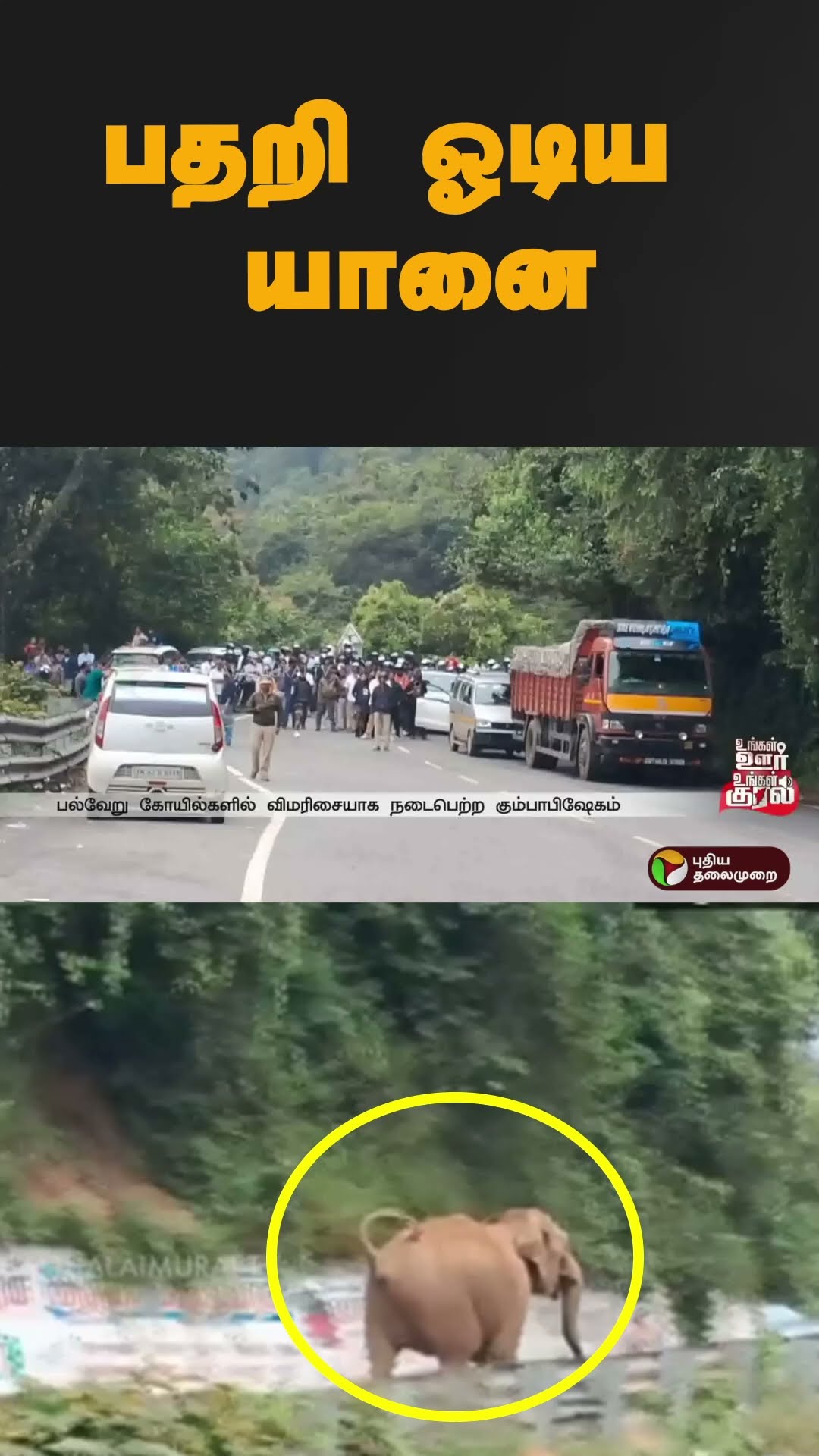 பதறி ஓடிய யானைகள் | #shorts | #kunnur | #elephant