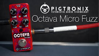 THE OCTAVE FUZZ YOU NEED - Pigtronix Octava Micro Fuzz Demo