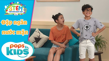 STEM Thế Giới Khoa Học - Tập 13: Đập Ngăn Nước Mặn - Bộ Đồ Chơi Giáo Dục