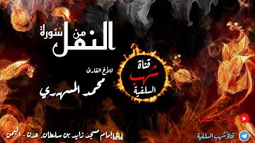 تلاوة ماتعة للأخ محمد المسهري {حَتَّىٰ إِذَا أَتَوْا عَلَىٰ وَادِ النَّمْلِ قَالَتْ نَمْلَةٌ}