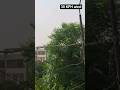 30+ KPH wind in jalandhar today ⛈️#shortsfeed #wheather #viral Jalandhar #viraltimes #viralworld