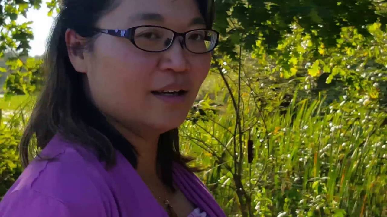 Deer Lake Park in Burnaby BC