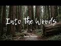 Indie Folk Compilation | Warm Forest🌲 (1-Hour Playlist)