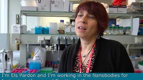 Introducing Nanobodies for Instruct-ERIC