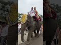 #bihu #dance #viral #zubeengarg #zg #rangghar #bihuvideo #millionaire #millionviews #reels #reel