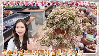 Why is the youngest one in front of the camera?! A once-in-a-blue-moon repotting video from the y...