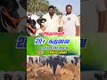 சிந்தாமணி சந்தையில் நல்ல Breed ல ஒரு மாடு #tn24_sakthi_vlogs #பிரபு