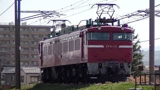 EF81 151 単機回送