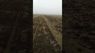 Хуглу Ренова В Деле