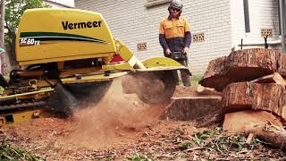 Dynamic Tree Solutions