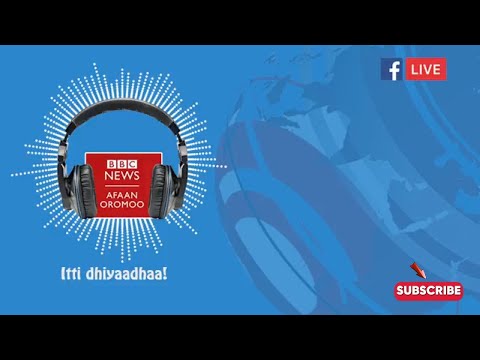 Sagantaa Raadiyoo BBC Afaan Oromoo 29 Aug 25
