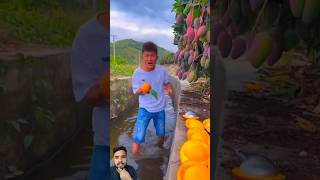 Download Lagu Caca mango Hai 😘 #shorts #short #shortvideo #shortsvideo #shorts ￼ MP3