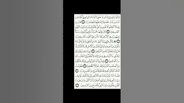 قران كريم سورة المائده،قالوا يا موسى اذهب انت وربك فقاتلا #اكسبلور #المصحف #دويتو #الرحمن #duet #الق