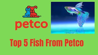TOP 5 Fish From Petco *What Fish To Buy*