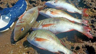 katambak spot-nasa malapit lang+ganda ng laban basta katambak.PART 2 #fishing #fishingvideo #fish