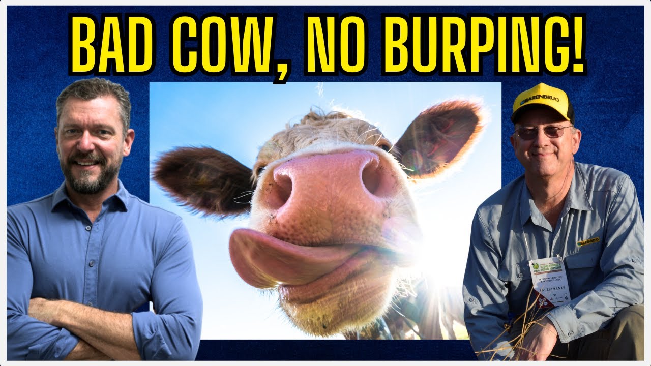 Cow Farts & Colon Cancer with DR. PETER BALLERSTEDT
