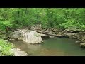 Find Your Calm Guided Meditation for Stress Relief