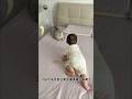 Milo Ajari Dede bayi Merangkak🐱 #kucinglucu #kucing #cat