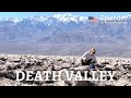 This is our LOWEST moment yet | Death Valley and the quirky town of Beatty