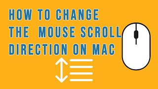 How to Fix External Mouse Scroll Direction on Mac  Mac Tutorial