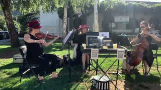TRIO VIVA plays Beethoven: Ode To Joy in downtown San Anselmo Marin County #livemusic #stringtrio 🎻