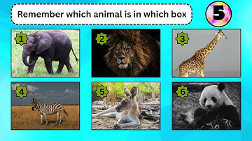 Animal Memory Challenge! | Can You Remember All 6 Animals? 🐶🦁🐘