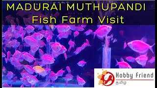 Madurai Muthupandi farm visit - stock updates