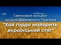 Святковий концерт до Дня Державного Прапора Підволочиськ 2022