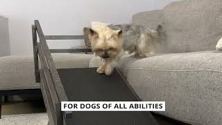 The Dog Couch Ramp with Safety Rails