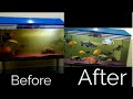 बिना नया पानी डाले ऐसे करे अपने Aquarium को crystal clear