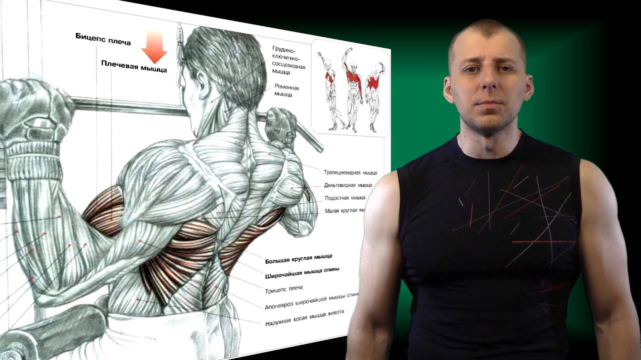 Вертикальная тяга к груди - YouTube