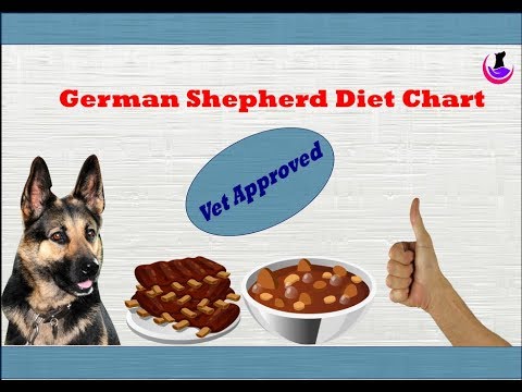 German Shepherd Veg Diet Chart