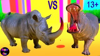 Hippo vs Rhino - हिप्पो बनाम राइनो - Hipopótamo vs rinoceronte - Zoo Animals Stop Motion 13+