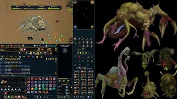 RS3 Barbarian Assault HM 1-9 - 12:28 [Healer POV]