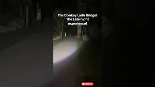 Would You Walk The Trail At Nightdonkey Lady Bridge