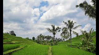 Download lagu Bunga Nusa Indah-Instrumental/No Vocal/ Karaoke